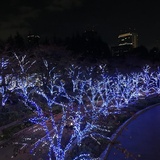 12月ご予約可能日