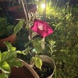 9月のご案内