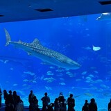 8月のご案内